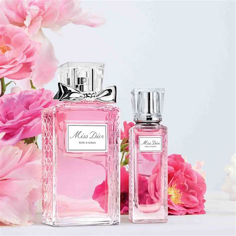 dior rose dhiver|Dior roses and apples.